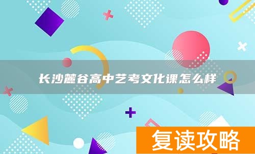 长沙麓谷高中艺考文化课怎么样