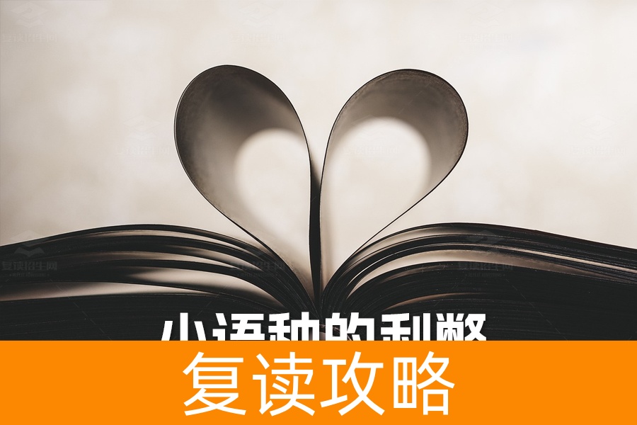 高考外语选小语种的利弊分析：全面解读与决策指南